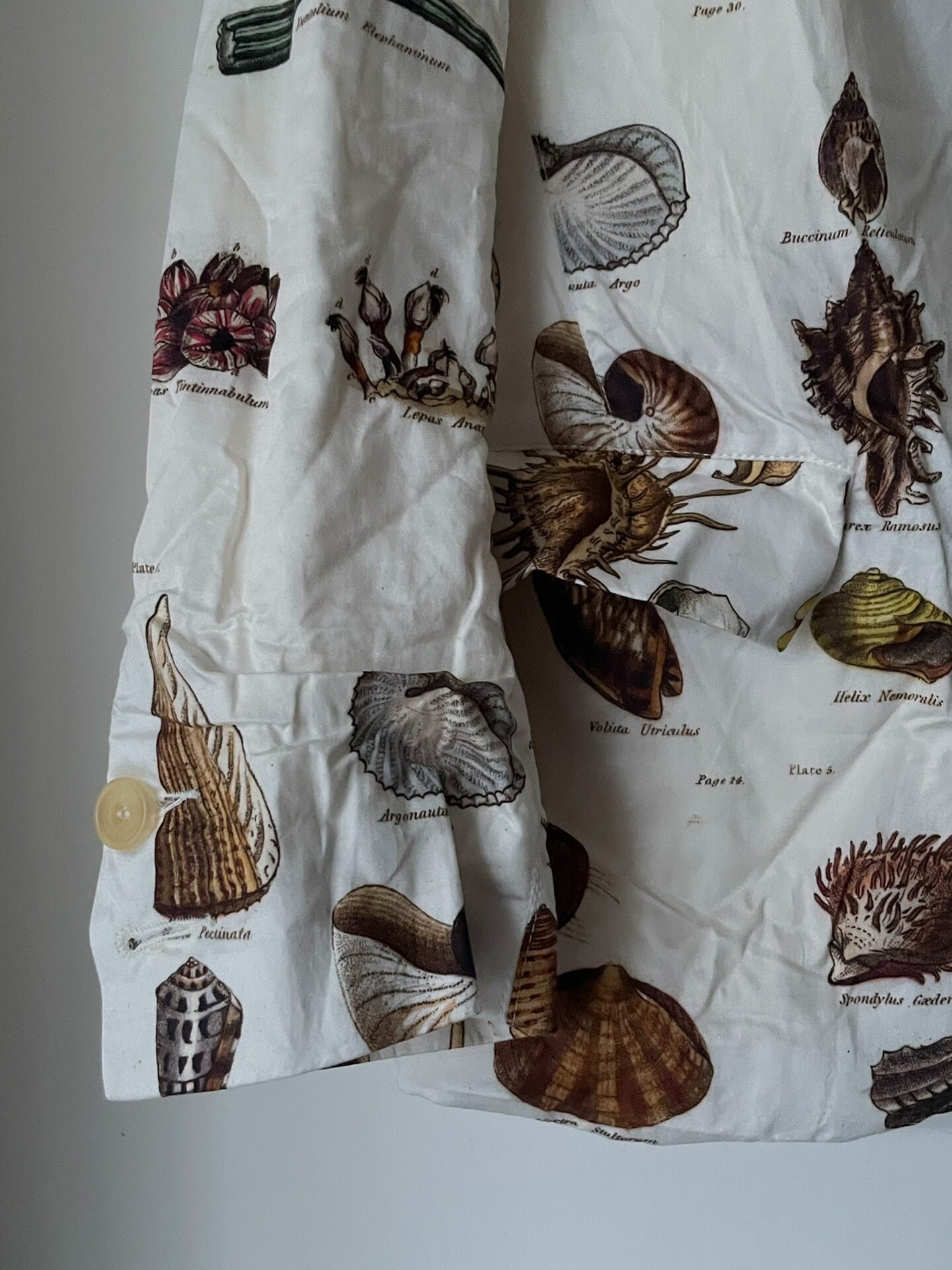 Paul Harnden Shell Print Blazer Jacket