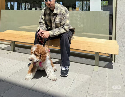 VISVIM PIONEER CHECK L/S 24AW