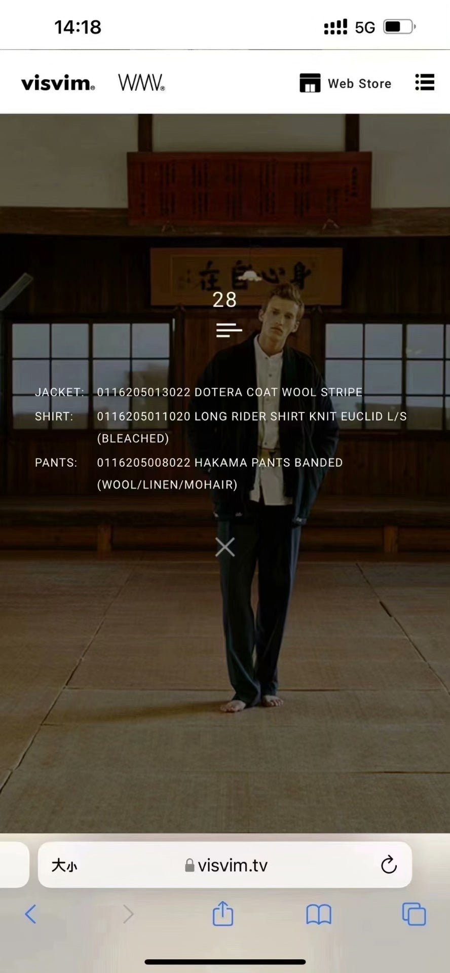 visvim 16AW Dotera Wool Stripe Coat