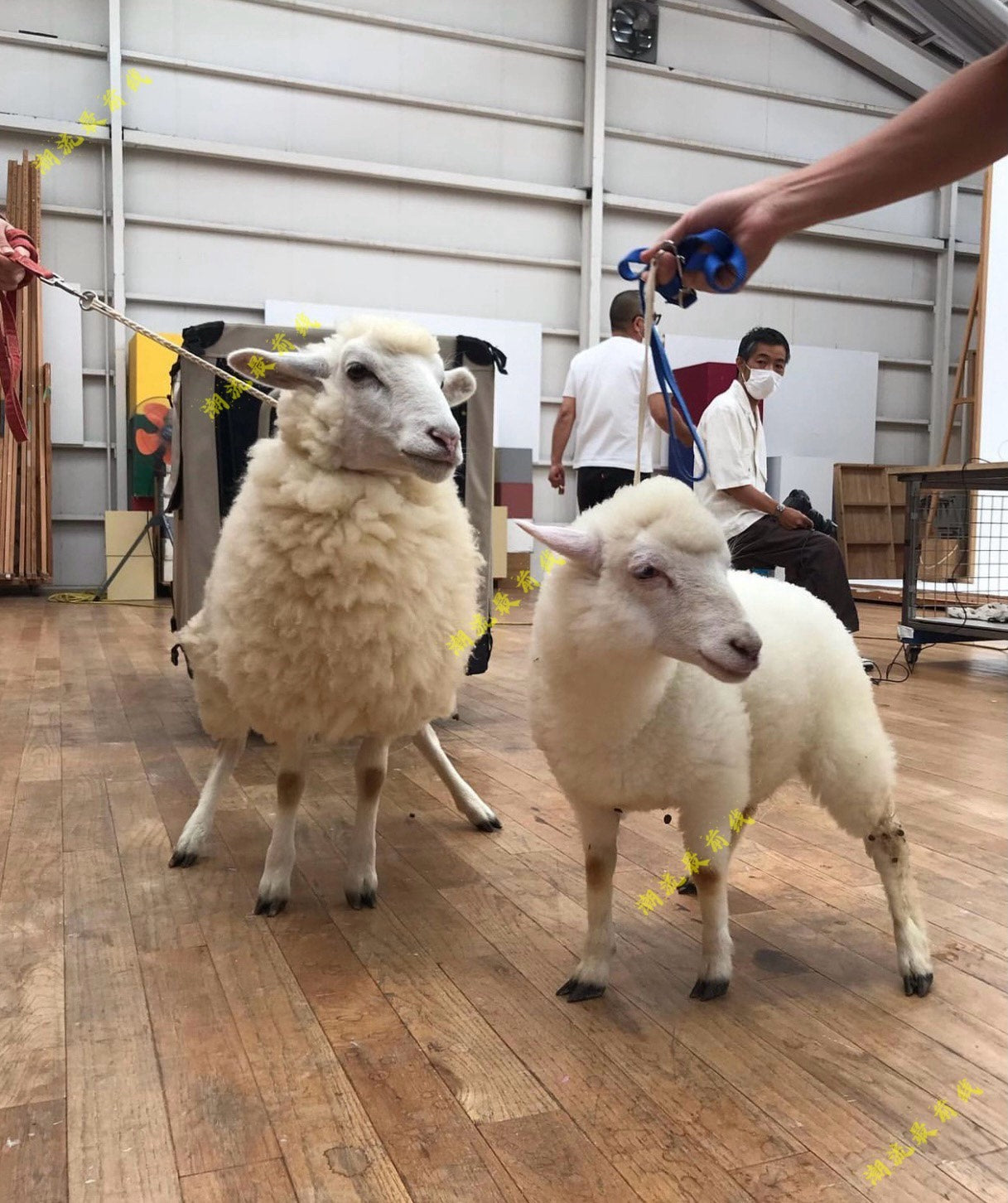 visvim amplus crew hand-knit black sweater