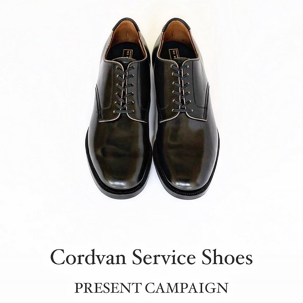 CLINCH Service Shoes Horsebutt Black