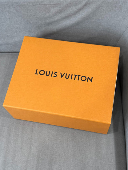 Louis Vuitton Limited Edition Trainer Sneakers