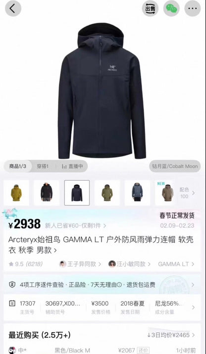 Arcteryx Gamma LT Hoody Men's L