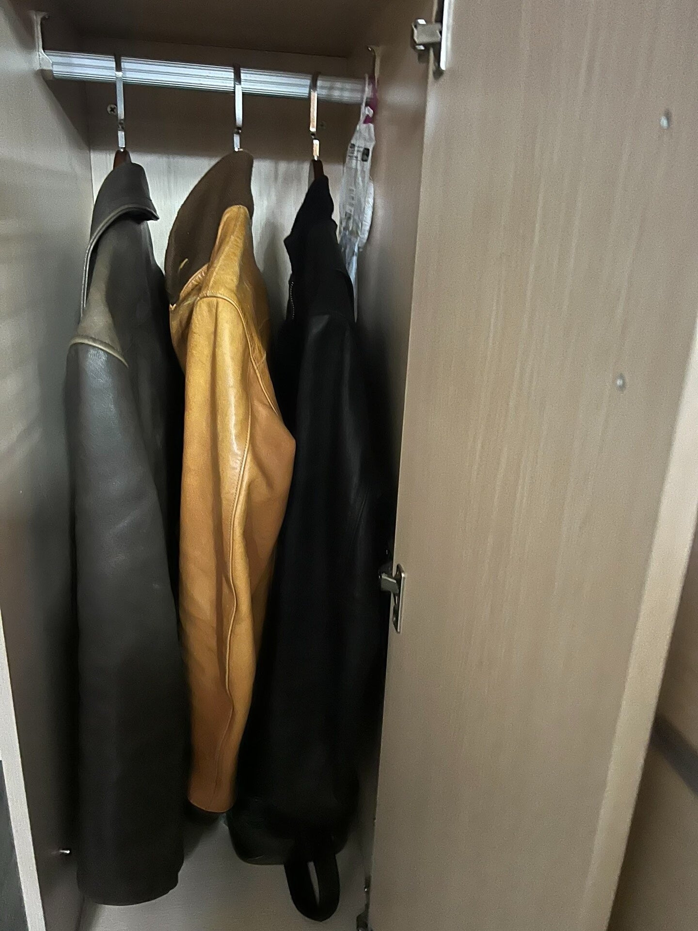 AERO Leather Jacket with Fur Collar