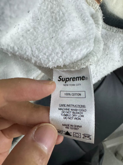 Supreme FW20 Week8 Hoodie in Large