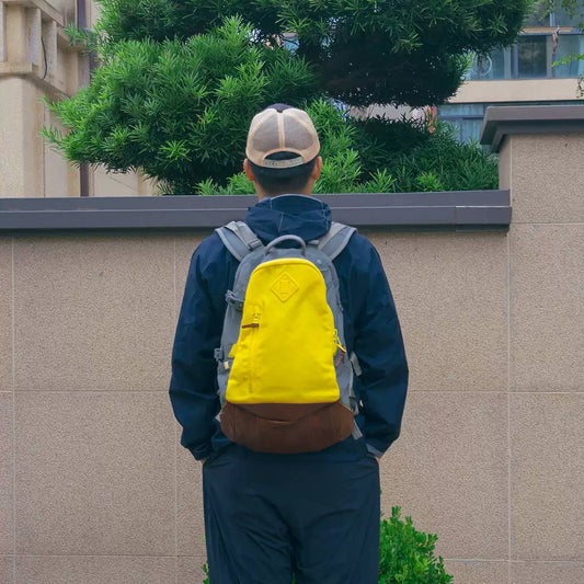 visvim ballistic 20l backpack