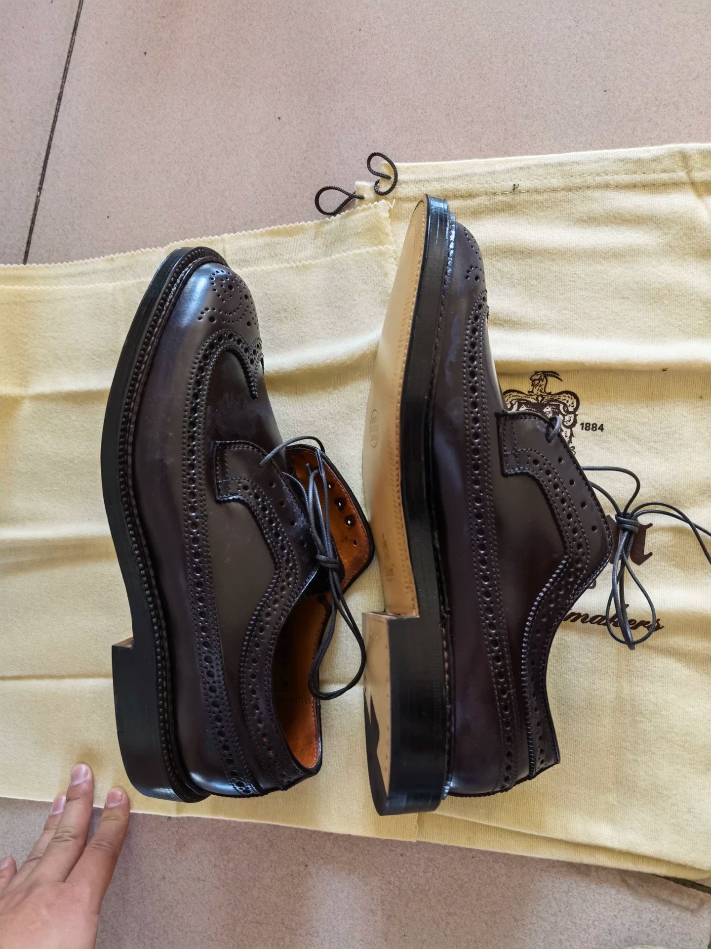 Alden Handmade Men's Dress Shoes in Brown