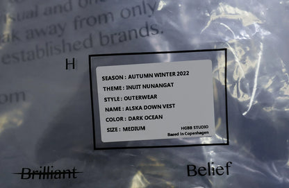 navy alaska down vest for winter