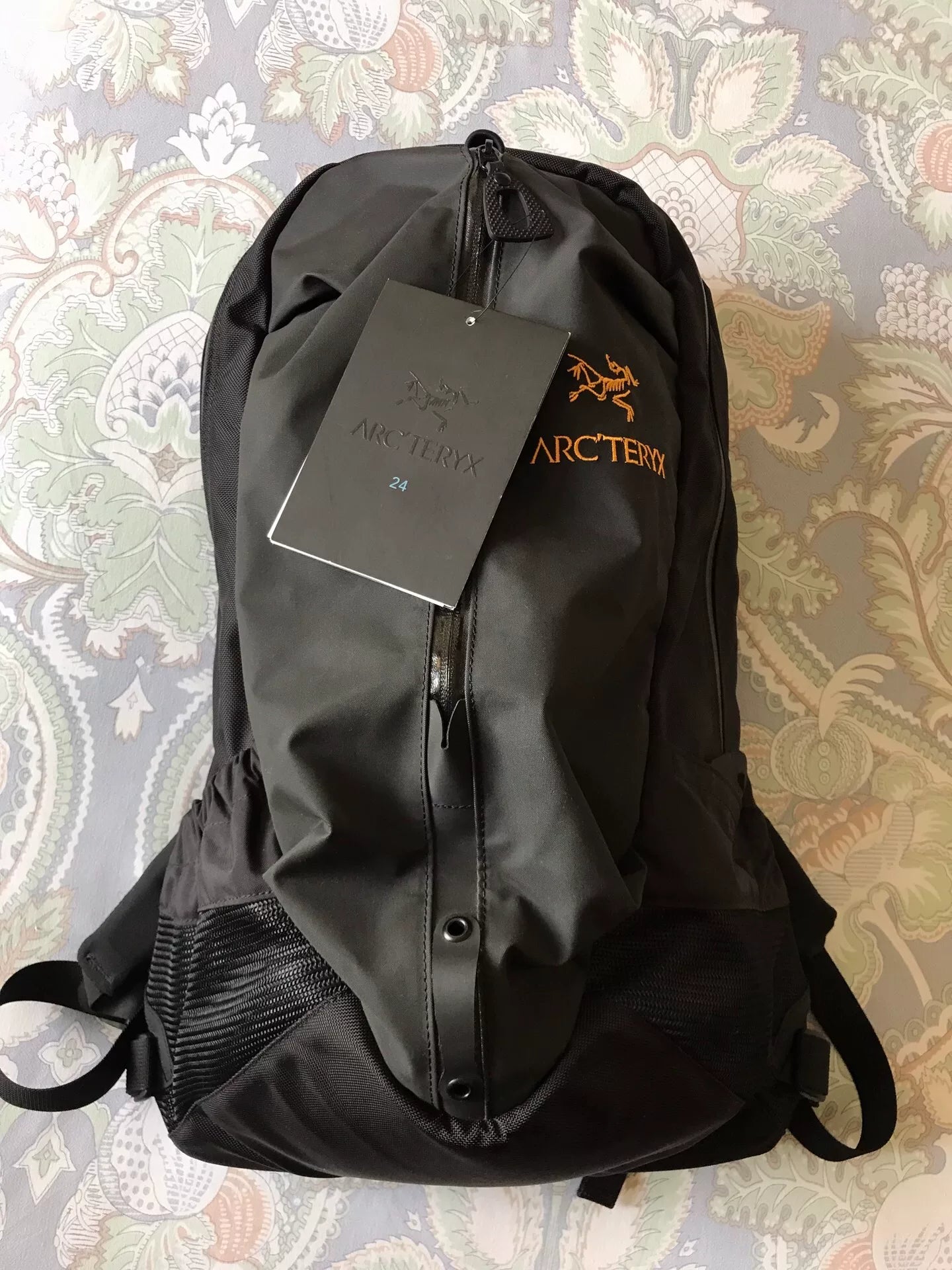 Arc'Teryx Arro 22 Outdoor Backpack
