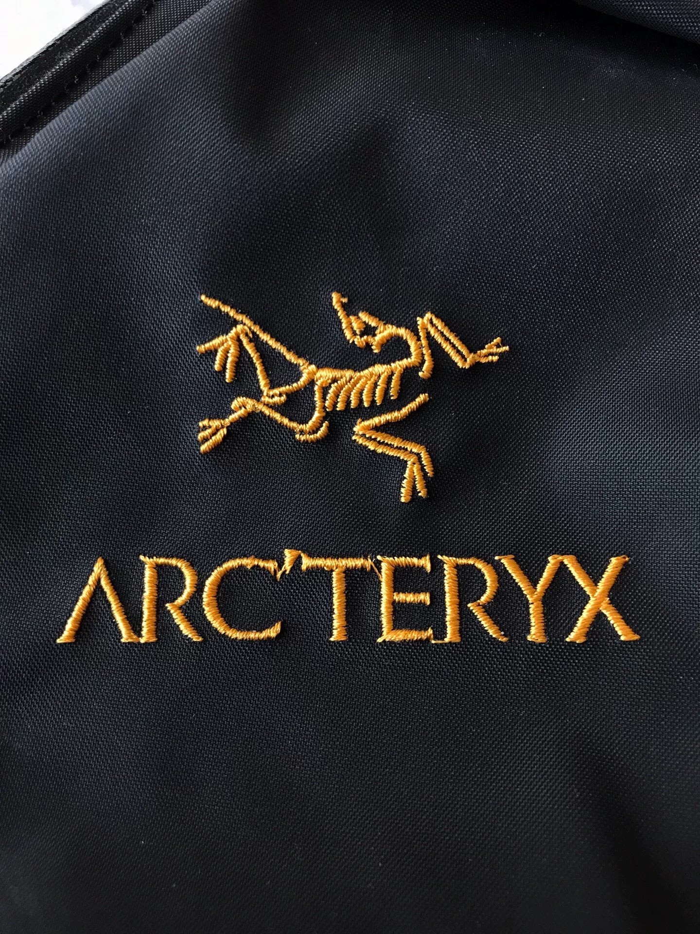 Arc'Teryx Arro 22 Outdoor Backpack