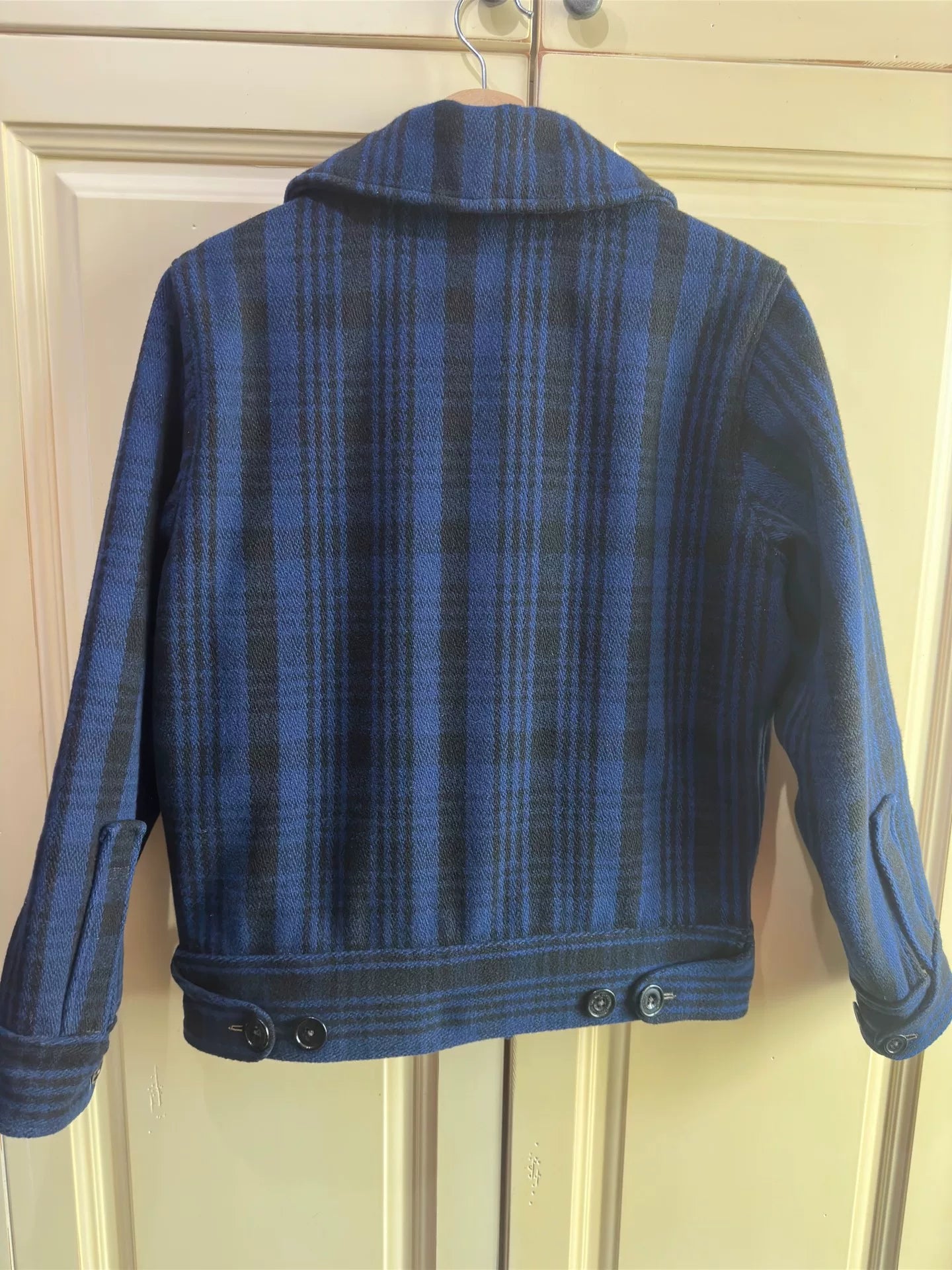 Freewheelers Short Blue Turtle Size 40