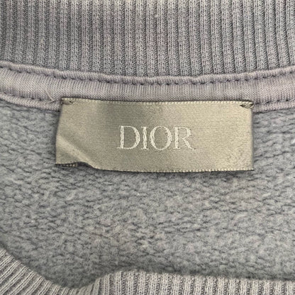 Dior x Daniel Arsham Blue Logo Sweatshirt