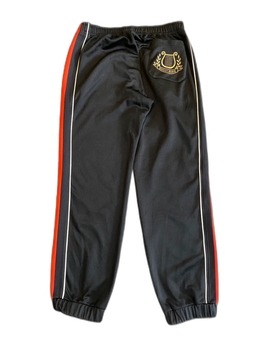 Gucci Striped Embroidery Casual Pants-zp