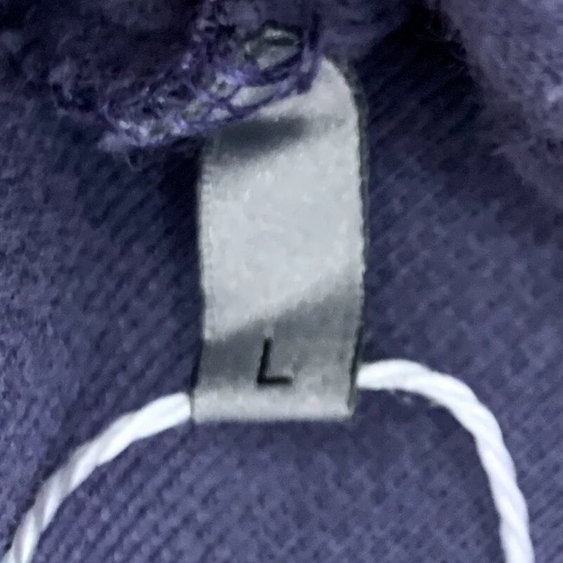 Dior Purple Logo Embroidered Hoodie