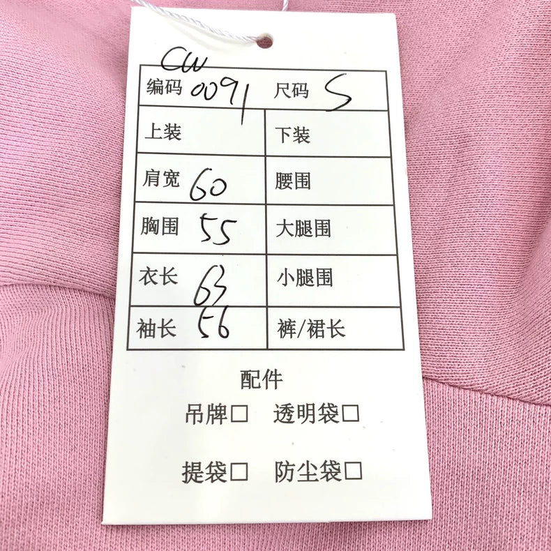 Pink Celine Logo Hooded Sweatshirt