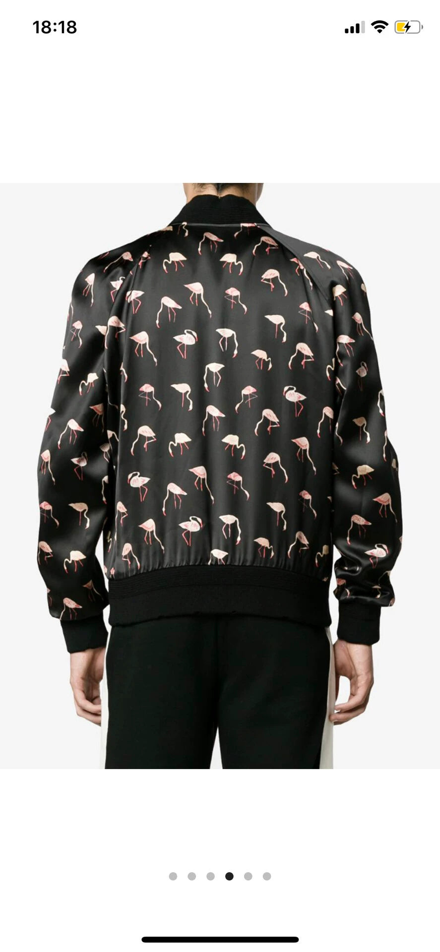 Saint Laurent Paris Flamingo print jacket