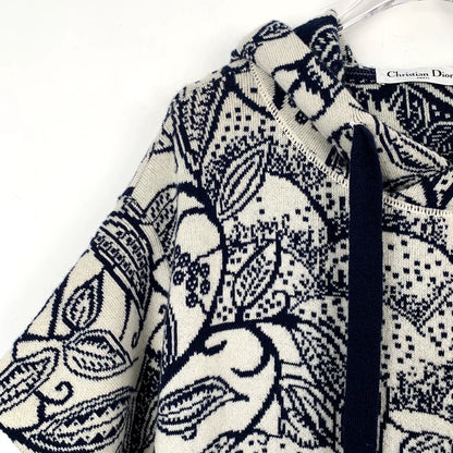 Christian Dior Color Logo Knit Hoodie