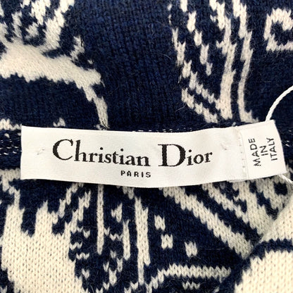 Christian Dior Color Logo Knit Hoodie