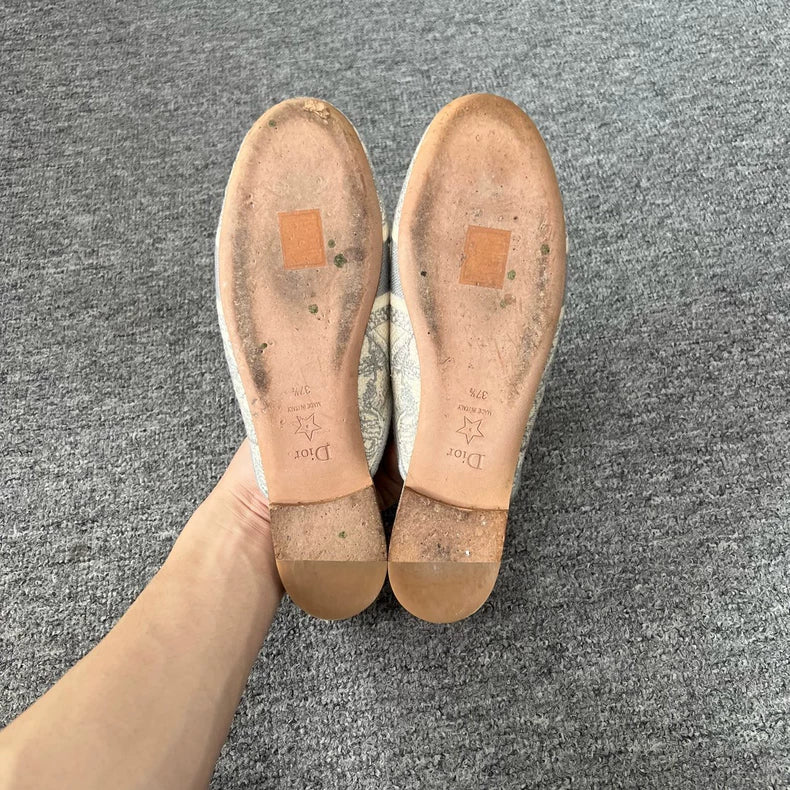 Dior Embroidered Mule Slippers