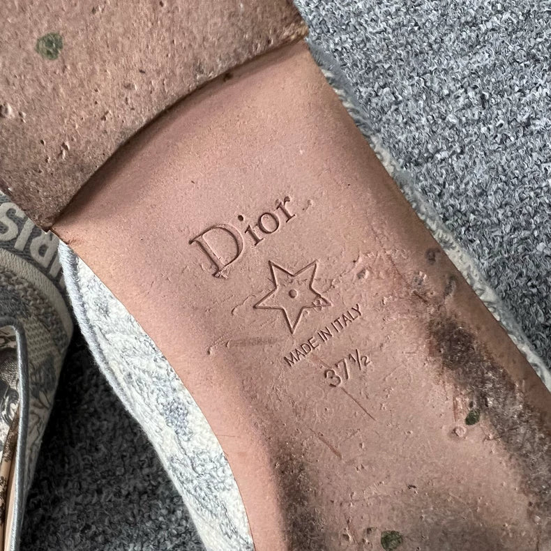 Dior Embroidered Mule Slippers