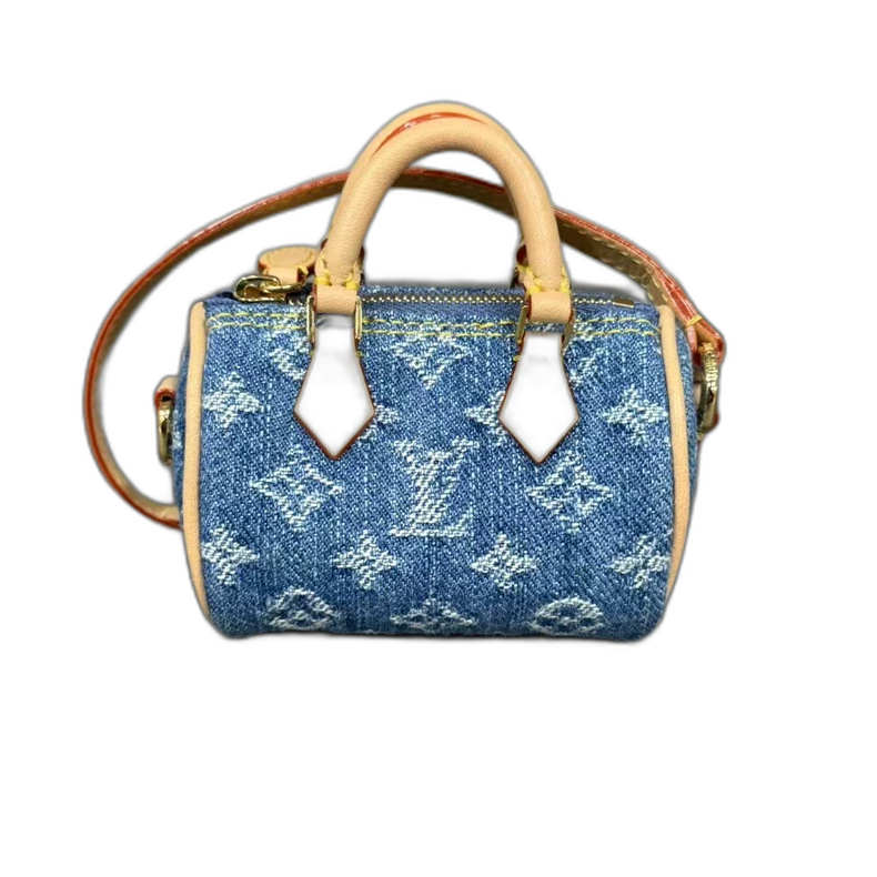 Louis Vuitton Denim Mini Handbag