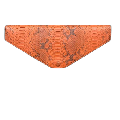 Celine Handbag in Gorgeous Orange Color