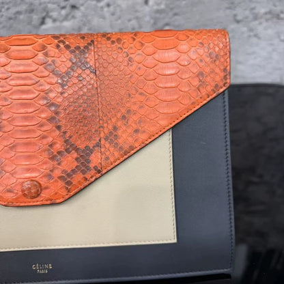 Celine Handbag in Gorgeous Orange Color