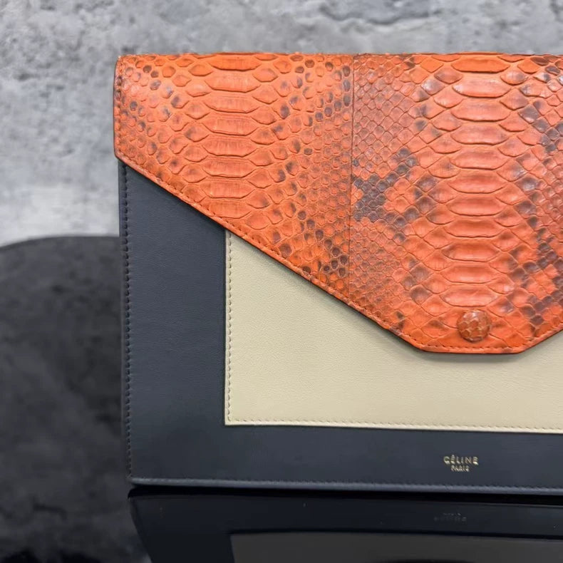 Celine Handbag in Gorgeous Orange Color