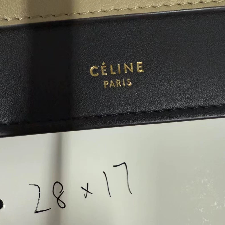 Celine Handbag in Gorgeous Orange Color