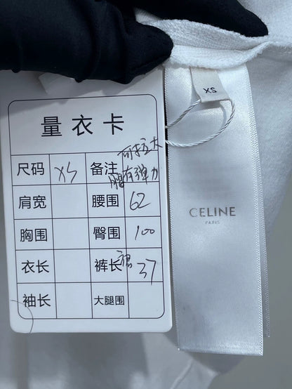 Celine Spring Summer Pleated Skirt