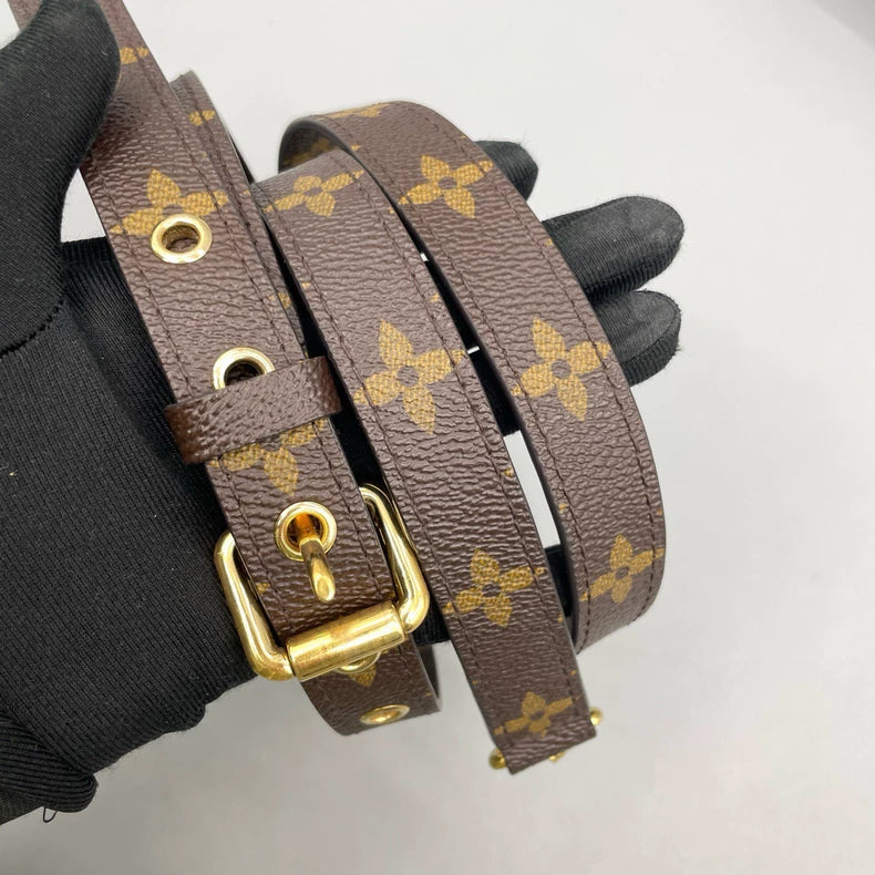 Louis Vuitton Monogram Crossbody Bag