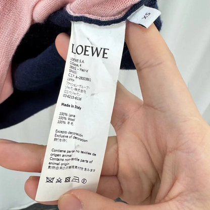 Loewe Multicolor Wool Embroidered Long Sleeve Knit 0089