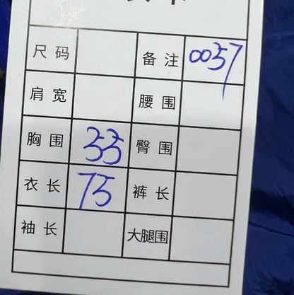 Stone Island Men's Blue Lightweight Jacket 0089