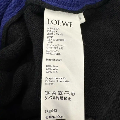 Loewe Blue Cotton Knitted Sweater for Men 0089