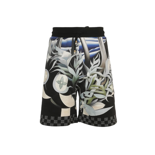 Louis Vuitton Cotton Colorblock Printed Shorts XL