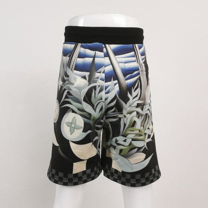 Louis Vuitton Cotton Colorblock Printed Shorts XL