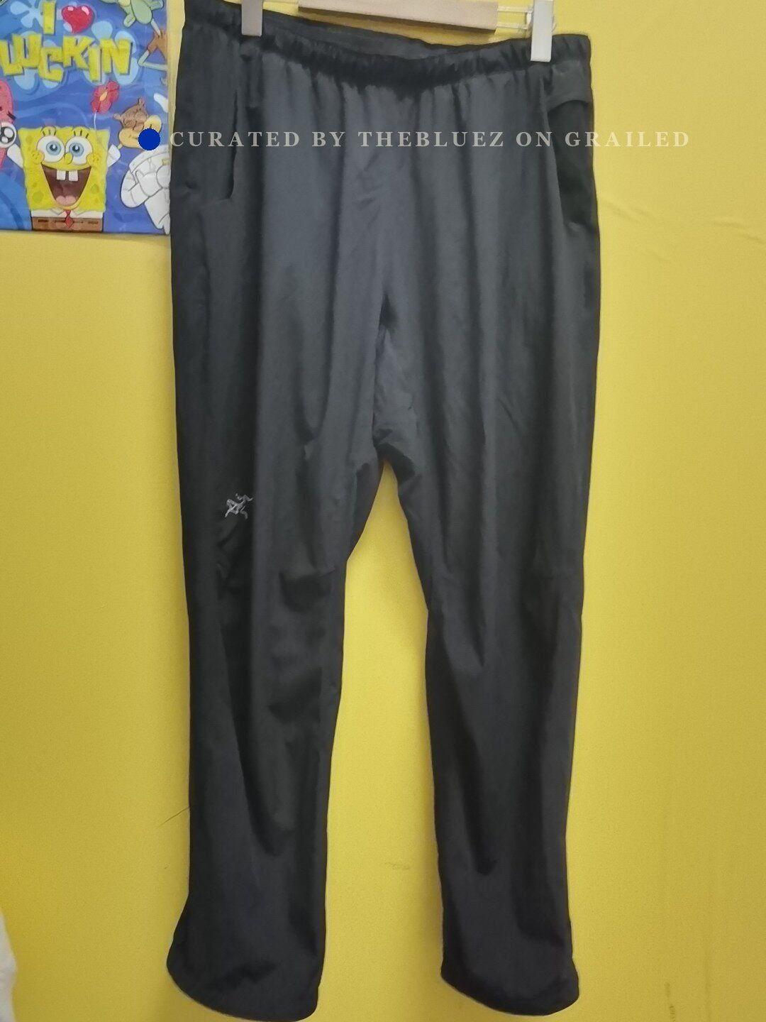 ARC'TERYX Men's Incendo Pant