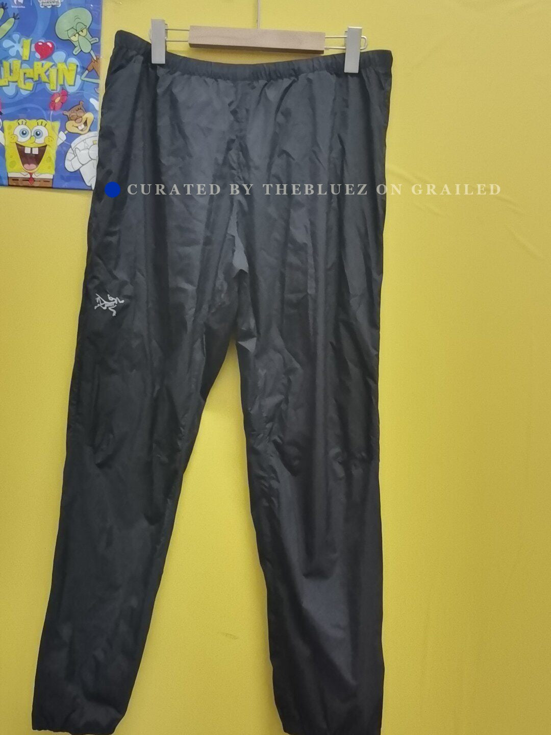 Arc'teryx Squamish Men's Pant