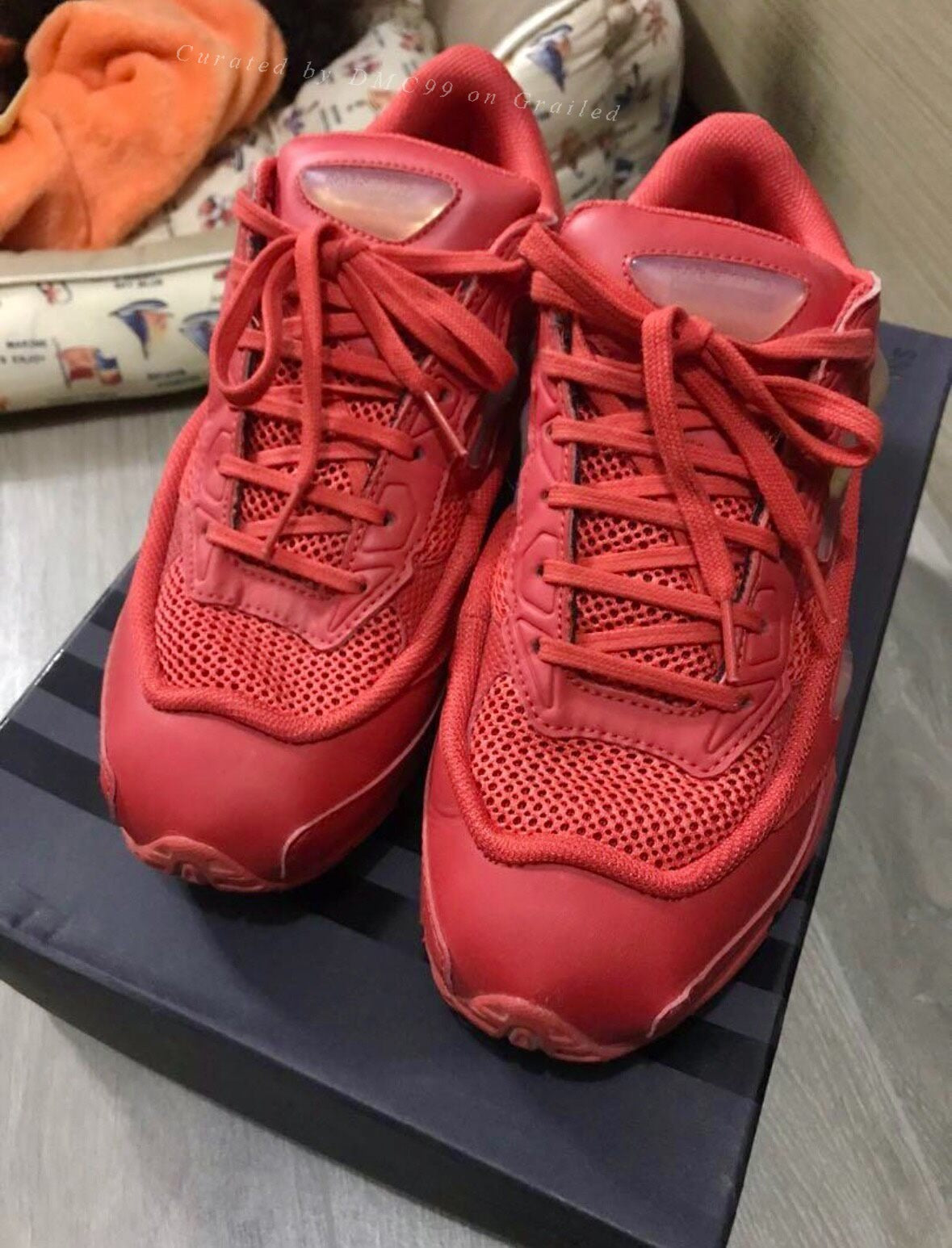 Raf Simons x Adidas Ozweego